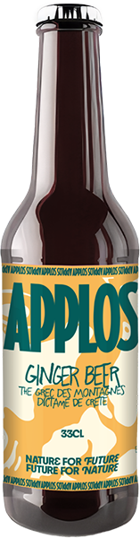 Bouteille 33cl thé ginger beer