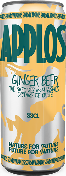 Canette 33cl thé ginger beer